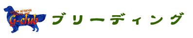 �u���[�f�B���O