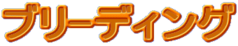 �u��-�f�B���O